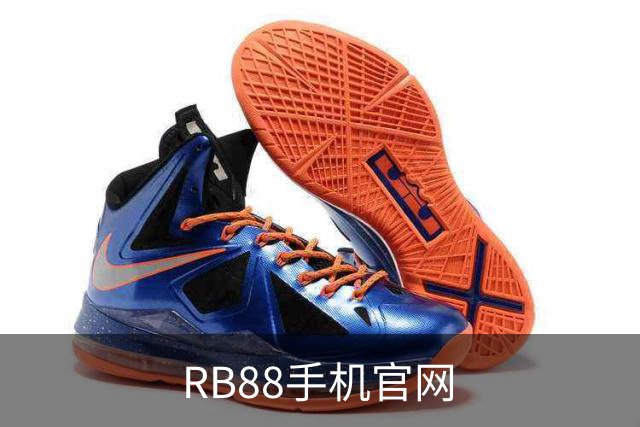 RB88手机官网公司简介展示图